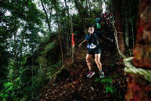 BIB: 
                            <button type="button" onclick="openModal(26198207)" class="btn btn-primary btn-sm float-right btn-popup" data-toggle="modal" data-target=".modal-high-quality">
                        <i class="fas fa-shopping-cart"></i> Add to Cart
                    </button>
                                            <button type="button" onclick="isThisMe(26198207, true)" class="btn btn-success btn-sm float-right btn-popup btn-isme hidden" data-toggle="tooltip" data-placement="bottom" title="นี่คือรูปของคุณใช่ไหม คลิกที่นี่เพื่อเอาเข้าอัลบั้ม">
                        <i class="fas fa-plus"></i> Add to album
                    </button>
                    <button type="button" onclick="isThisMe(26198207, false)" class="btn btn-warning btn-sm float-right btn-popup btn-isnotme hidden">
                        <i class="fas fa-ban"></i> Remove from album
                    </button>